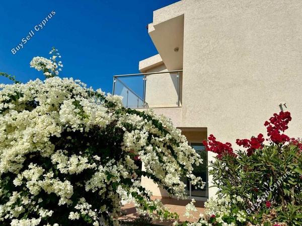 3 bedroom detached house for sale coral bay paphos 1355275 image 11365293