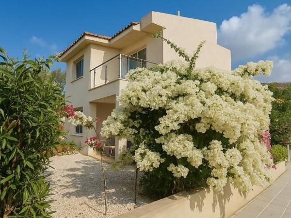 3 bedroom detached house for sale coral bay paphos 1355275 image 11365295
