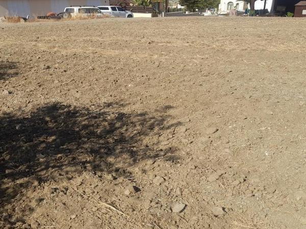 plot for sale mathiatis nicosia 7495275 image 16176672