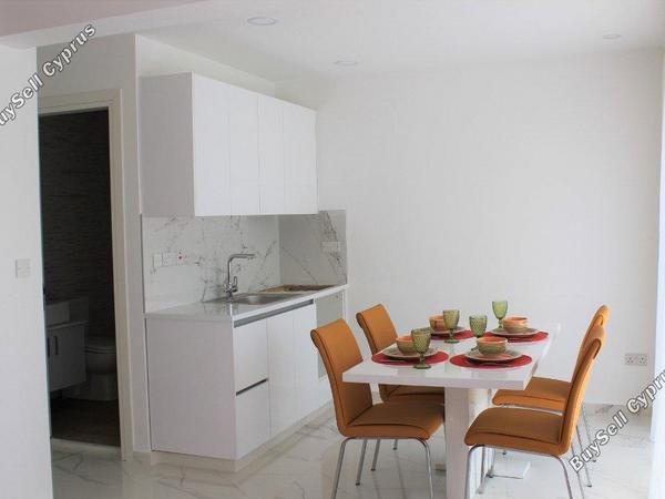 2 bedroom apartment for rent potamos germasogeias limassol 8664375 image 15988089