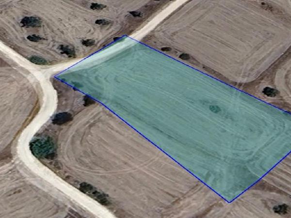 land for sale agia varvara nicosias nicosia 7953375 image 16159438