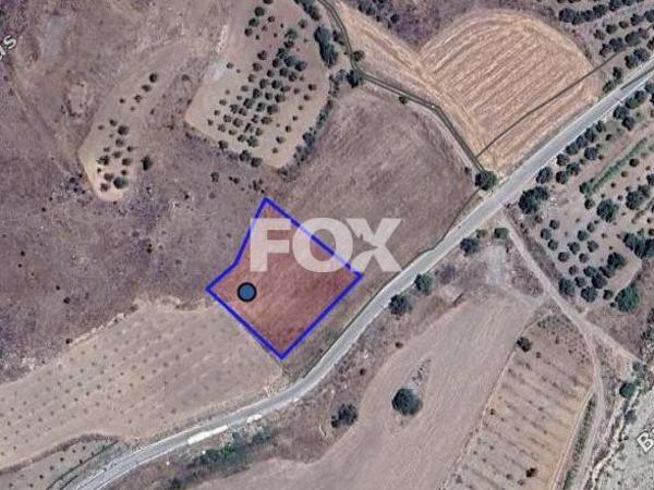 land for sale amargeti paphos 1393375 image 11089341