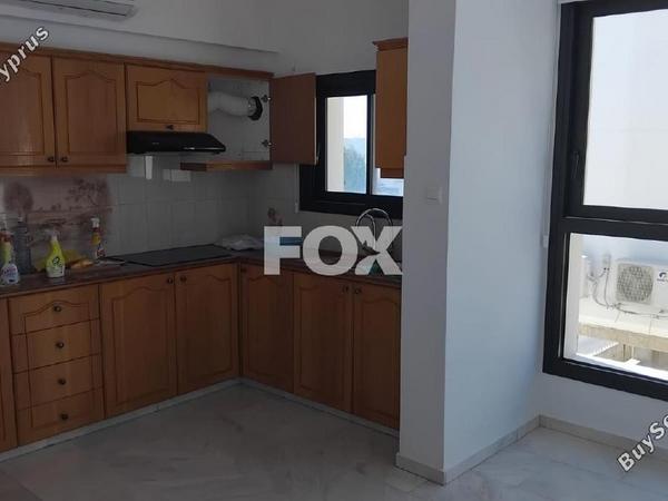3 bedroom apartment for rent paphos municipality paphos 8758475 image 16519160