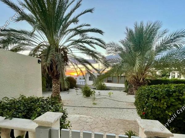 3 bedroom apartment for sale kissonerga paphos 8395475 image 16045154