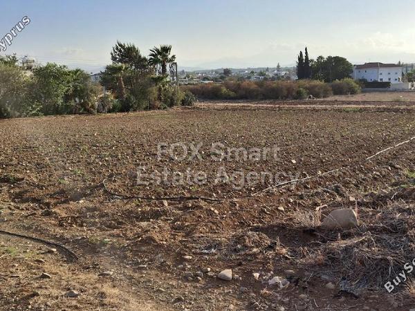 land for sale akaki nicosia 1673475 image 5217031