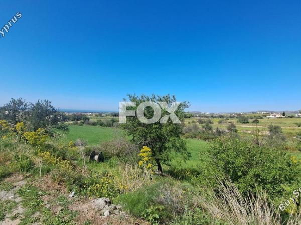 land for sale anarita paphos 1721475 image 14829570