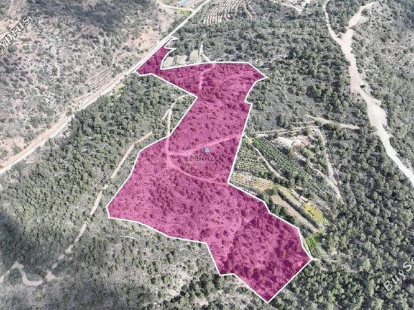 land for sale louvaras limassol 1536475 image 5654866