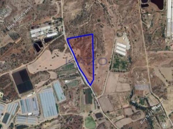 land for sale monagroulli limassol 7729475 image 14758594