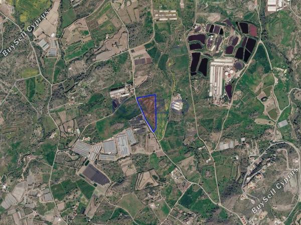 land for sale monagroulli limassol 7729475 image 17667434