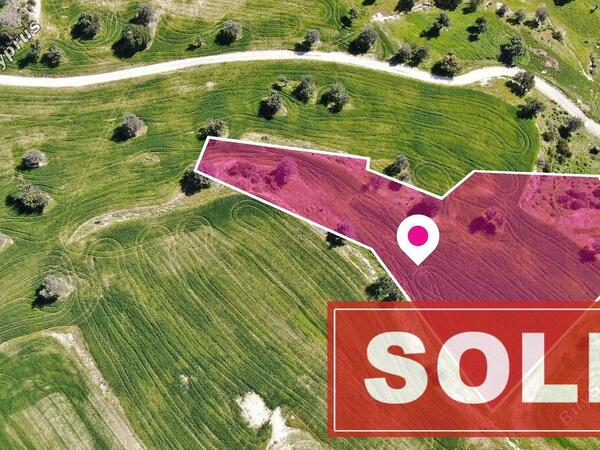 land sold agios theodoros larnacas larnaca 1057475 image 2678905