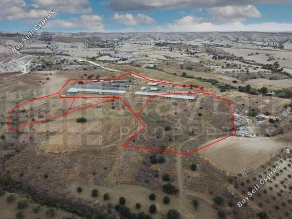 plot for sale analiontas nicosia 7871475 image 11381400