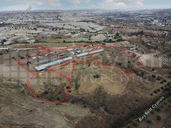 plot for sale analiontas nicosia 7871475 image 11381402