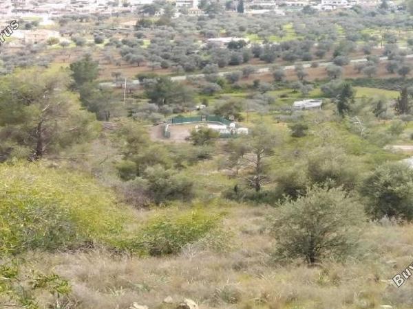 plot for sale kornos larnaca 1828475 image 16188203