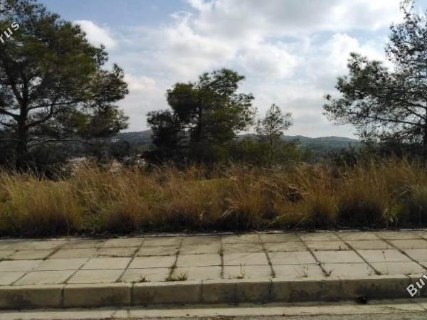 plot for sale kornos larnaca 1828475 image 16188210