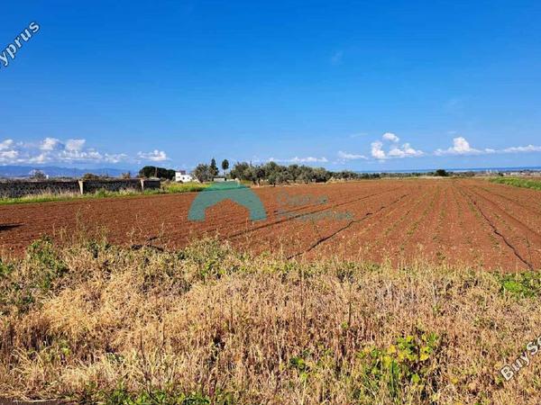 land for sale astromeritis nicosia 8134575 image 14365878