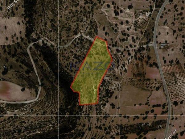 land for sale pachna limassol 1735575 image 5716817