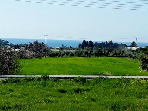 plot for sale timi paphos 8325575 image 15093869