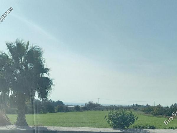 plot for sale timi paphos 8325575 image 15093870