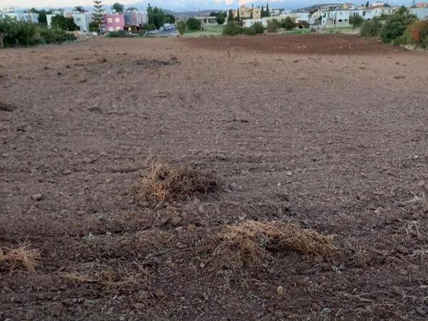 plot for sale timi paphos 8325575 image 15093871