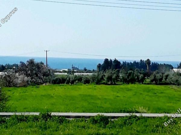 plot for sale timi paphos 8325575 image 15093875