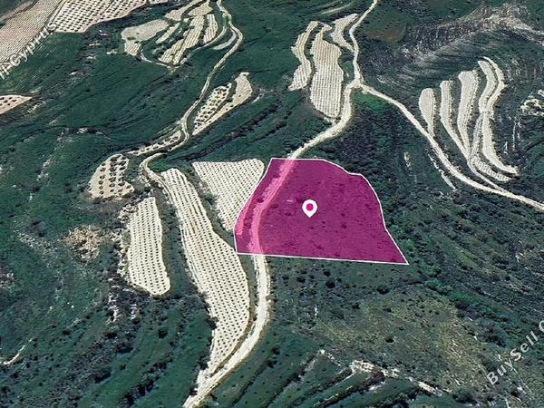 land for sale koili paphos 1897675 image 14207313