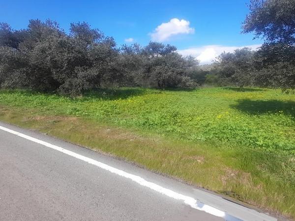 land for sale lythrodontas nicosia 1412675 image 16176106