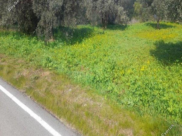 land for sale lythrodontas nicosia 1412675 image 16176107