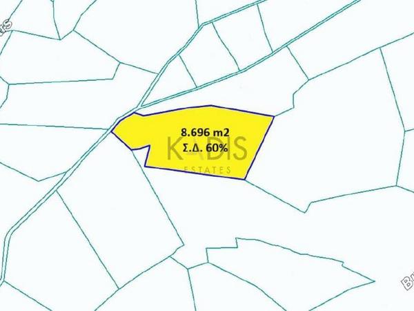 land for sale agios theodoros larnacas larnaca 1426775 image 5860807
