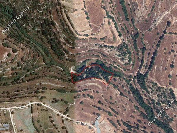 land for sale dora limassol 1194775 image 5570497