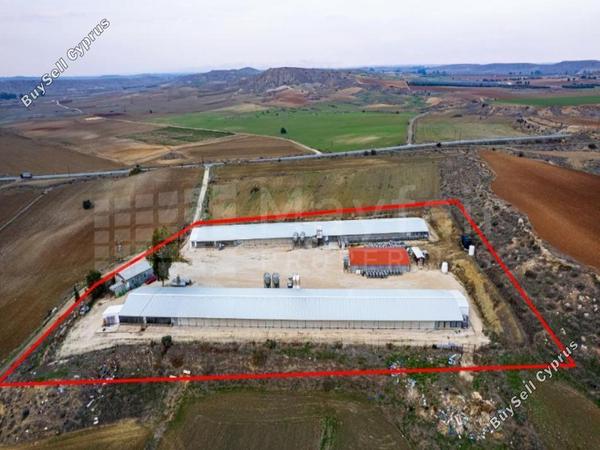 plot for sale agios ioannis nicosias nicosia 7872775 image 11386983