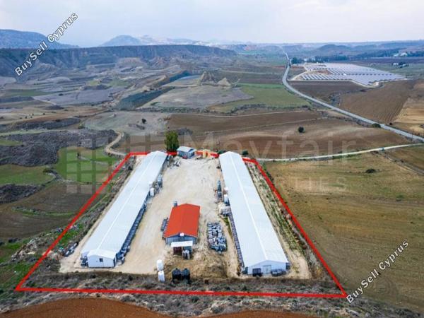 plot for sale agios ioannis nicosias nicosia 7872775 image 11386984