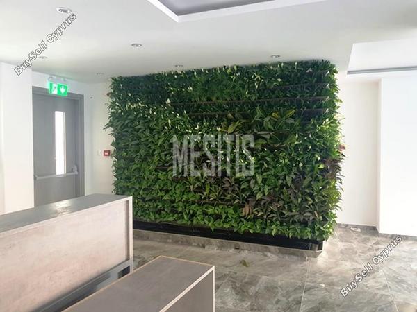 4 bedroom apartment for sale neapolis limassol 8554875 image 15561947