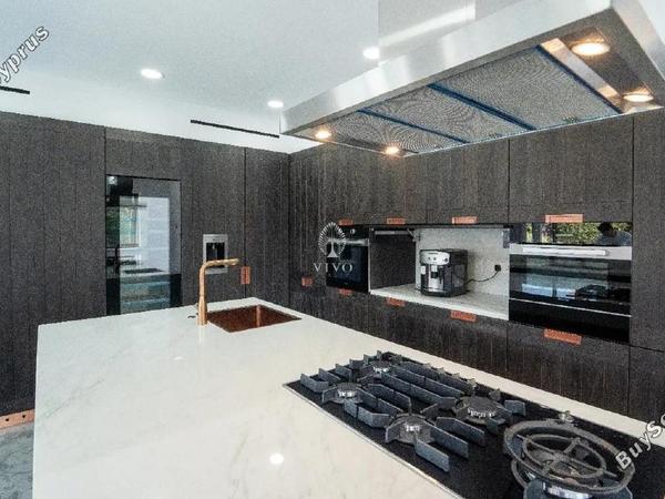 4 bedroom detached house for rent potamos germasogeias limassol 8716875 image 16308170