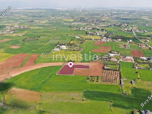 land for sale agioi trimithias nicosia 8702875 image 16229139