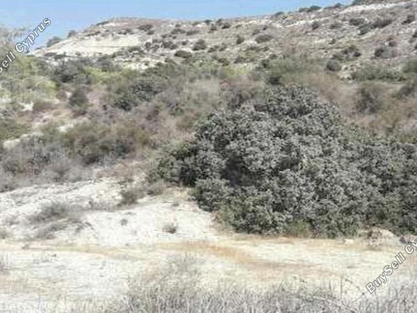 land for sale monagroulli limassol 8473875 image 15230220