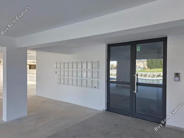 studio apartment for rent kato paphos universal paphos 8633875 image 16032572
