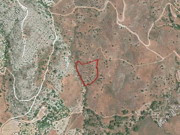 land for sale pentalia paphos 827975 image 2806908
