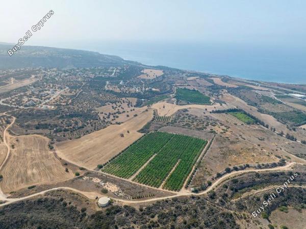 plot for sale kouklia pafou paphos 8441975 image 15031536