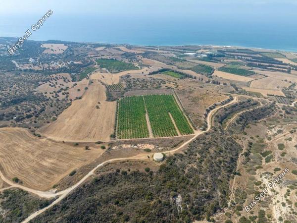 plot for sale kouklia pafou paphos 8441975 image 15031539