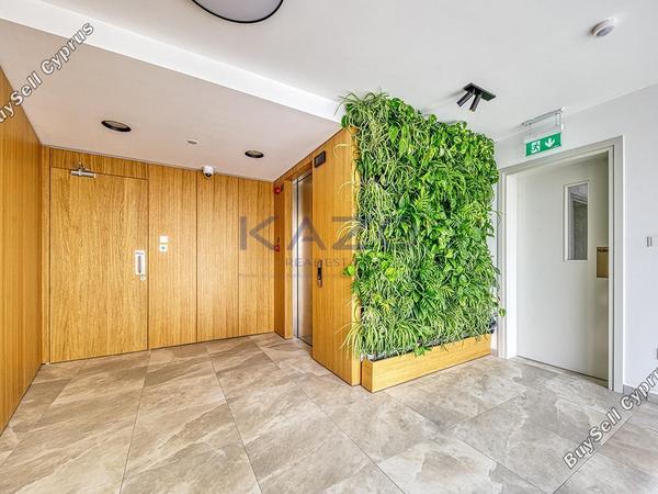 2 bedroom apartment for rent katholiki limassol 8926085 image 17604514