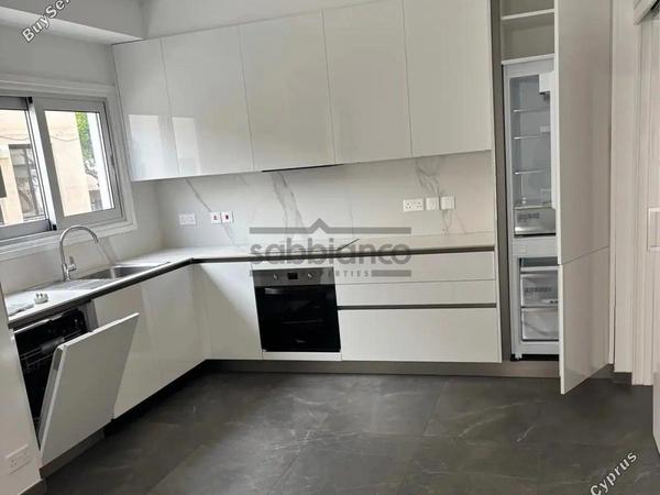 3 bedroom apartment for rent strovolos nicosia 8749085 image 16471846