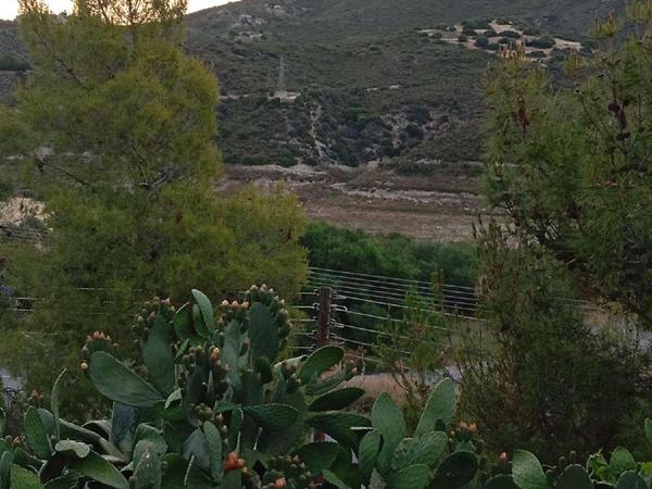 4 bedroom detached house for sale alassa limassol 1546085 image 16259708
