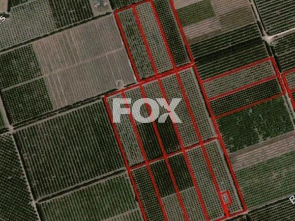 land for sale akrotiri limassol 1413085 image 15462883