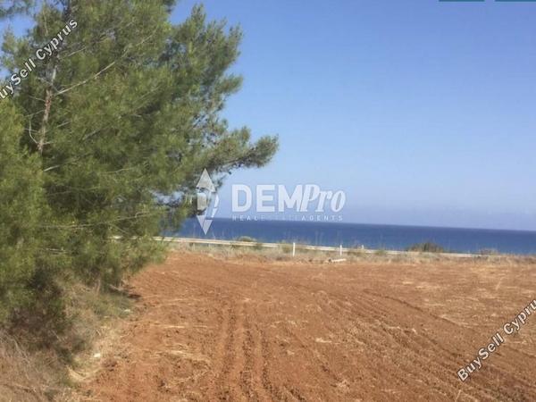 land for sale nea dimmata paphos 7812085 image 12686710