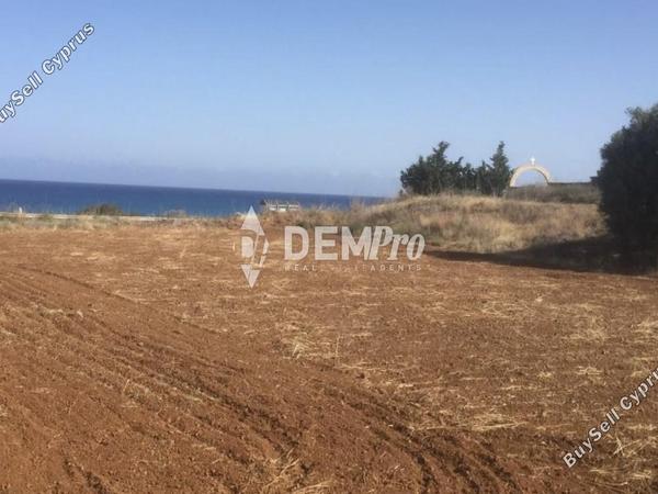 land for sale nea dimmata paphos 7812085 image 12686713
