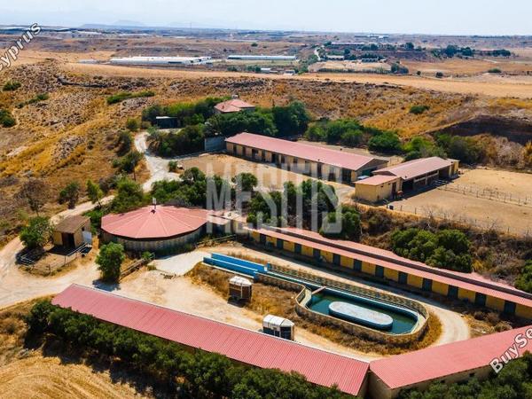 land for sale psimolofou nicosia 976085 image 10485431
