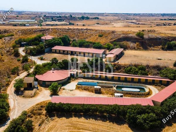 land for sale psimolofou nicosia 976085 image 10485432