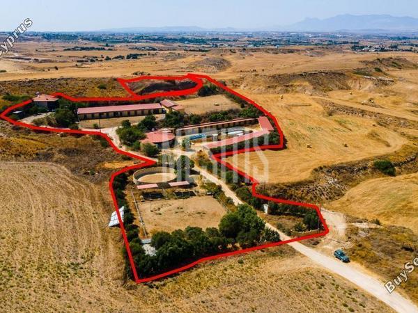 land for sale psimolofou nicosia 976085 image 11042739