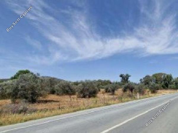land for sale kornos larnaca 8562185 image 15594552