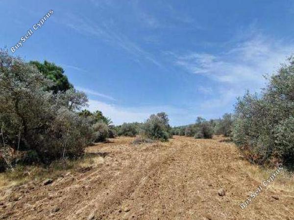 land for sale kornos larnaca 8562185 image 15594553